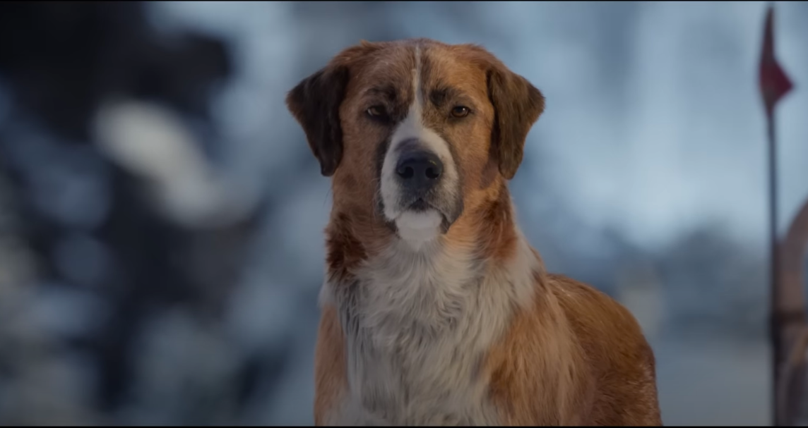 Top 10 Ultimate List of Must-Watch Dog Movies